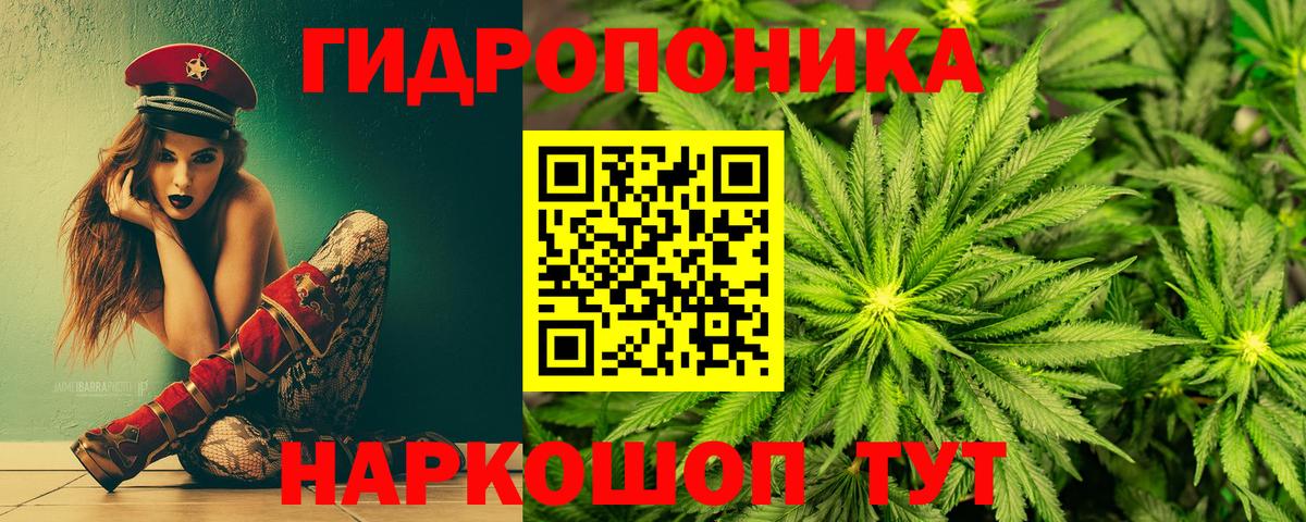 Конопля OG Kush Прокопьевск